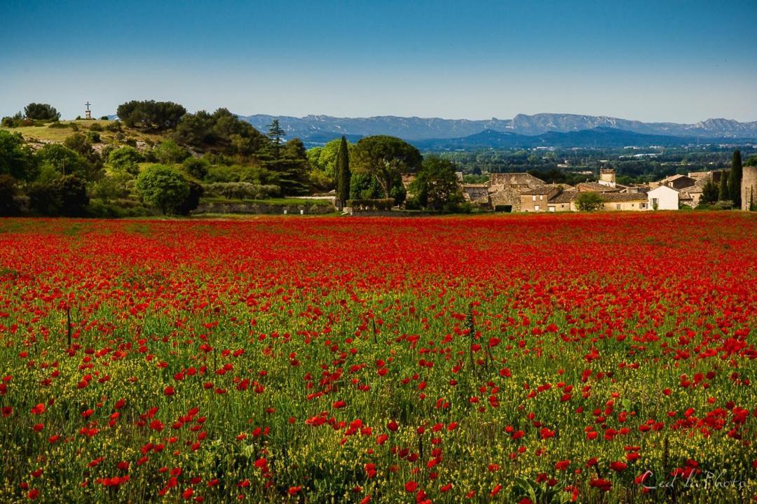 Villa Provencale Face Au Luberon Cabrières-dʼAvignon Kültér fotó