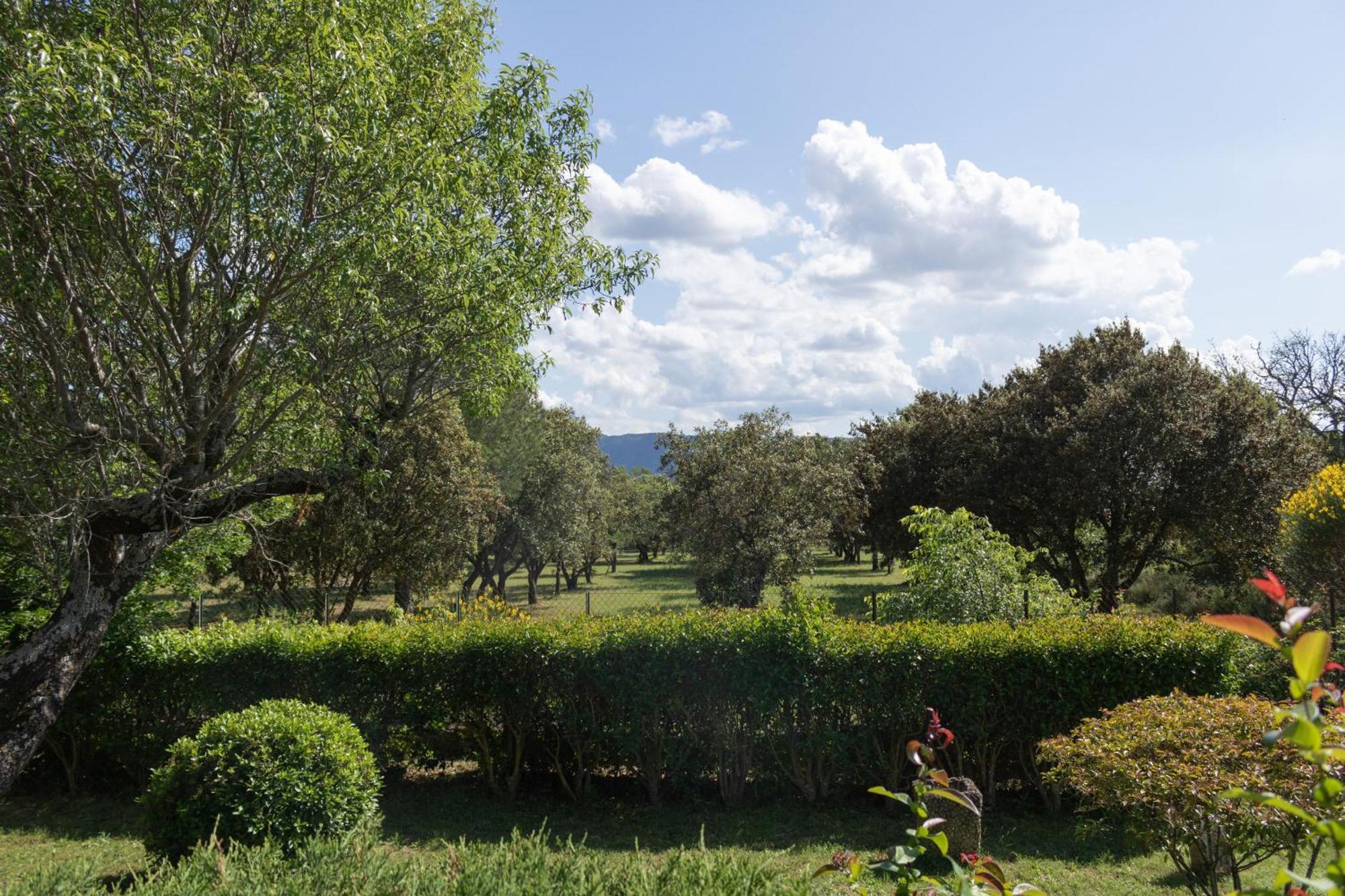 Villa Provencale Face Au Luberon Cabrières-dʼAvignon Kültér fotó